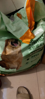 狗粮