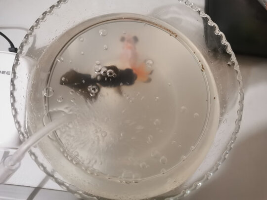 鱼缸氧气泵