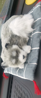 汽车摆件