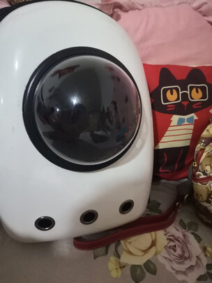 猫包