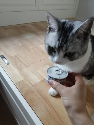 猫零食