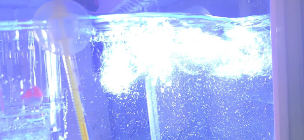 鱼缸灯led灯