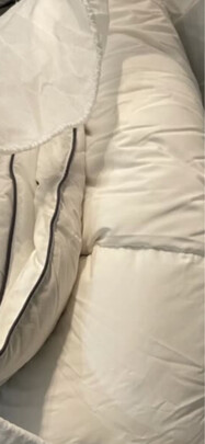 LOVO乐蜗家纺羽绒被一个月后开始后悔了诉说原因