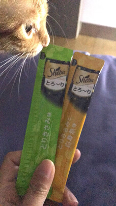 猫条猫零食