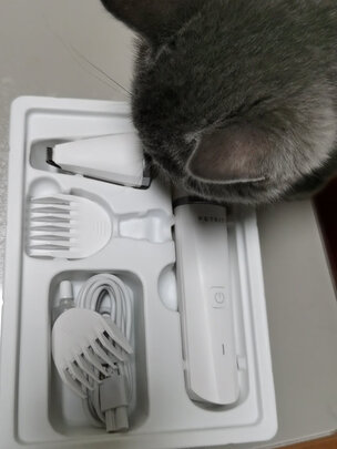  猫咪剃脚毛器