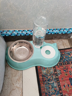 猫碗狗碗