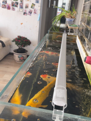 鱼缸水草灯