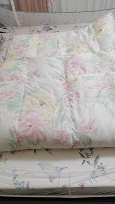 富安娜奥菲利亚鹅绒冬厚被选择五大雷区要慎重