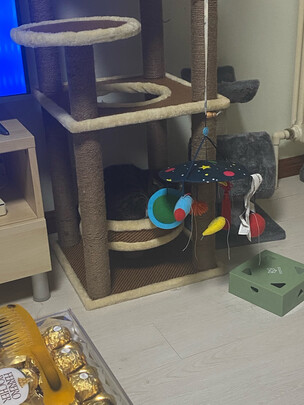 猫爬架