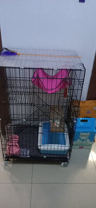  猫笼