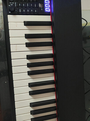 LOUDAN|参考剖析LOUDAN 电钢琴怎么样?深度测评剖析