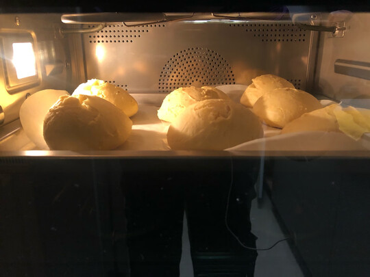 勃朗X5蒸烤箱|勃朗X5蒸烤箱真实使用感受？真相必看