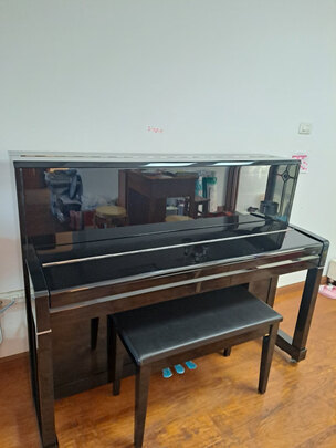 珠江钢琴珠江钢琴C2E|珠江钢琴珠江钢琴C2E 120怎么样评测分析结果告知！