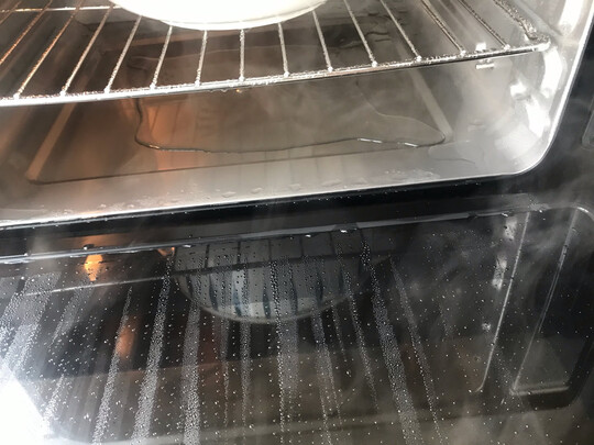 蒸烤箱|外观展示西屋电烤箱哪款好？到底值不值入手呀？