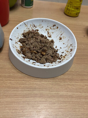 猫碗狗碗