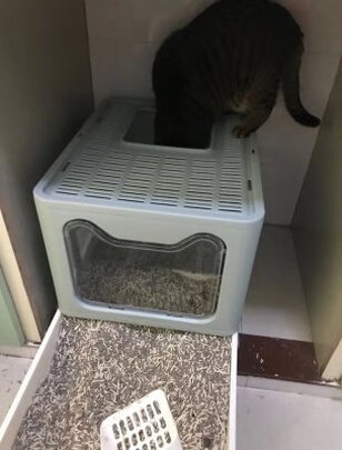 猫砂铲