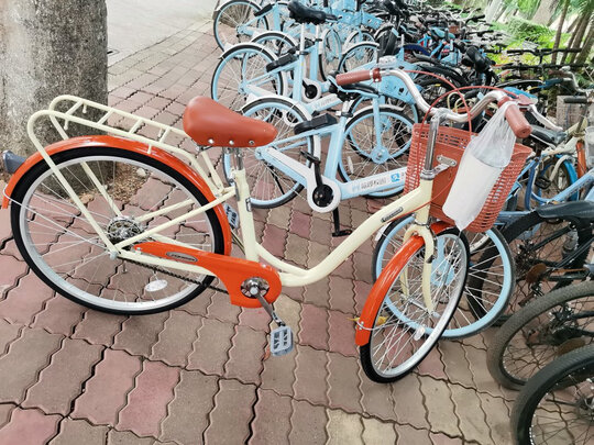 城市自行车