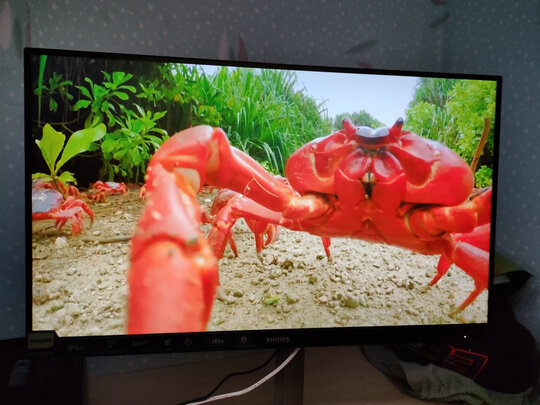 【专业评测】飞利浦猛腾275M1RZ显示器怎么样？？真实内幕...