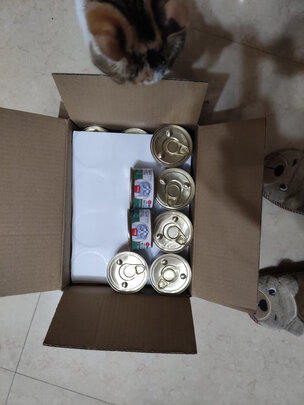 猫罐头