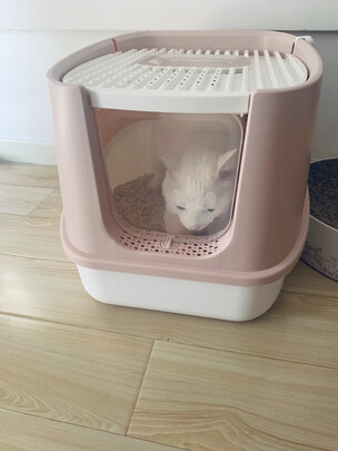 猫砂铲