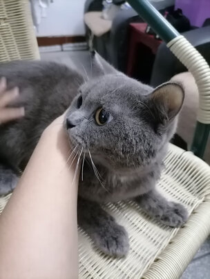 真皮手套