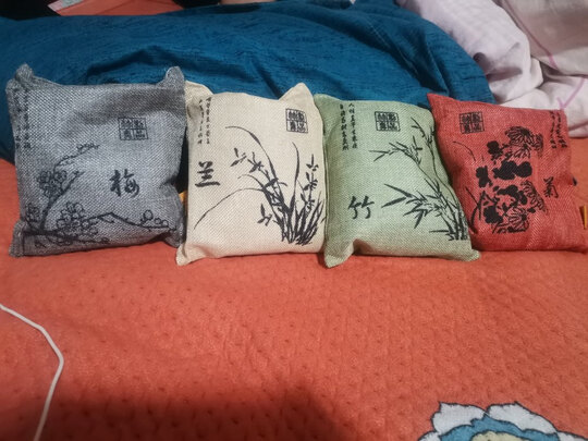 汽车竹炭包