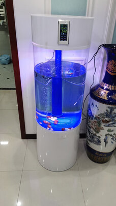 讲真的arowanahome是什么牌子?这牌子的鱼缸值得入手吗