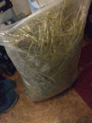 兔粮提摩西草
