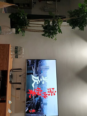 TCL50V8-J电视|TCL50V8-J电视好吗？图文评测曝光