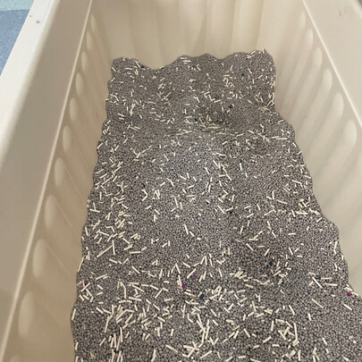 膨润土猫砂