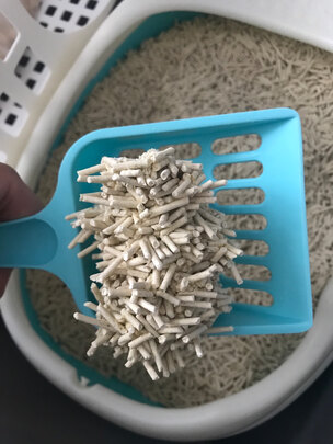 豆腐猫砂