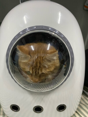 猫包