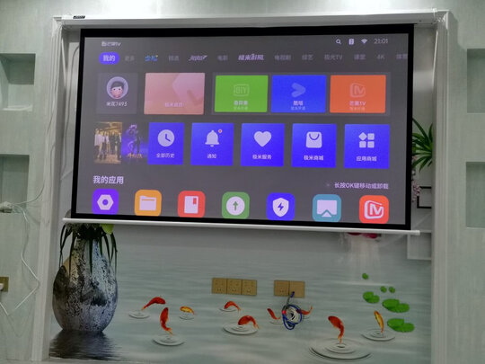 坚果极米投影仪幕布投影幕布|参考剖析坚果极米投影仪幕布投影幕布怎么样?深度测评剖析