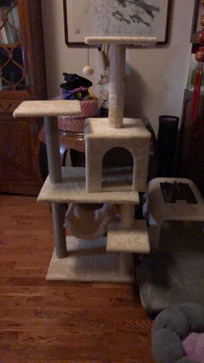 猫爬架