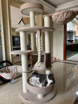 猫爬架