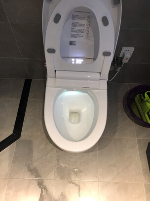 德斯图DST8802智能马桶|消费者诉说德国德斯图智能马桶怎么样？说被忽悠是假的？内幕感受