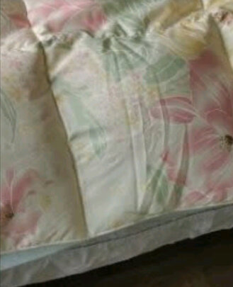 富安娜奥菲利亚鹅绒冬厚被选择五大雷区要慎重