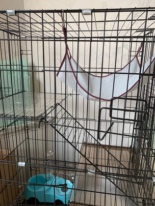  猫笼