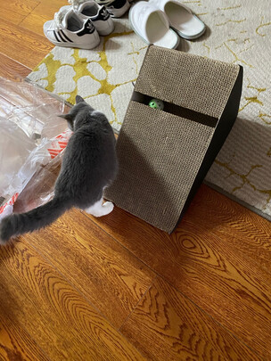 猫窝