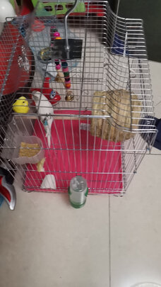 鸟笼