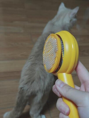 猫狗梳子