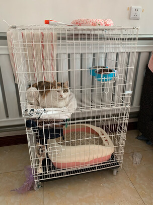 猫笼