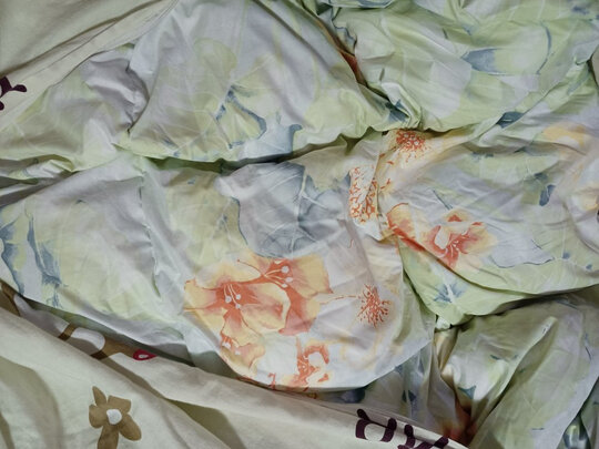 富安娜欢乐颂抗菌白鹅绒冬厚被（前车之鉴）有必要告诉大家真相
