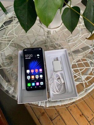 达人解密小辣椒de20和vivoz5x哪个好 - 邓卓玥博客