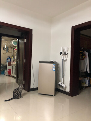 冰柜|海尔BD-102MDT冰柜怎么样？内幕使用评测揭秘