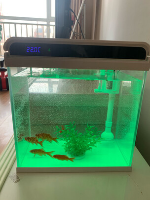 智能鱼缸