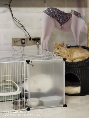 猫砂盆