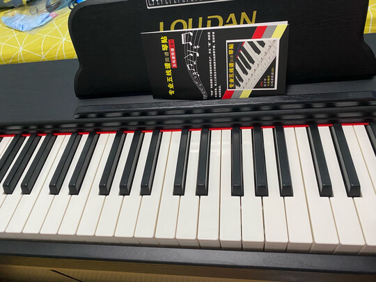 LOUDAN|参考剖析LOUDAN 电钢琴怎么样?深度测评剖析