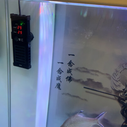 鱼缸加热棒