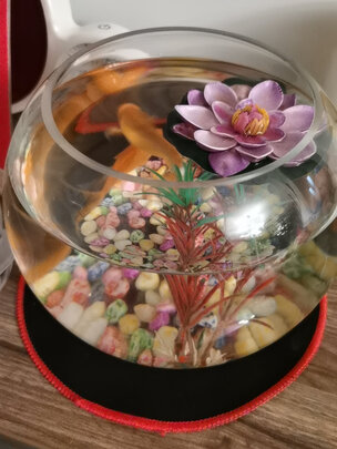 桌面鱼缸